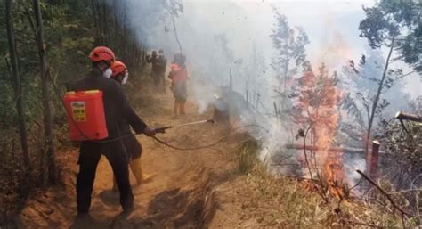 Pj Gubernur Jateng Minta Bupati Walikota Cegah Kebakaran Kemarau El