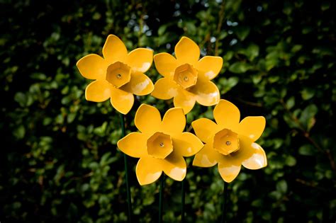 Daffodil Metal Flower Stem Garden Ornament Indoor Decor Art Etsy UK