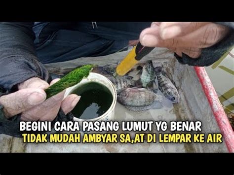 Cara Pasang Umpan Lumut Yg Benar Agar Tidak Mudah Lepas Dari Mata Kail