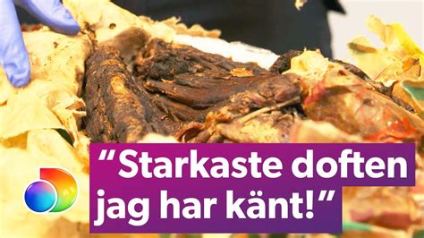 Tullen på Arlanda hittar flera kilo ruttet kött i en väska