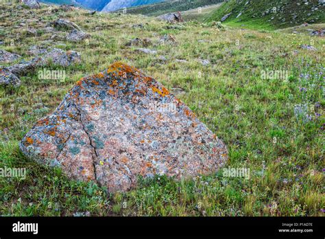 Rocks and Lichens, Naryn gorge, River, Naryn Region, Kyrgyzstan Stock ...