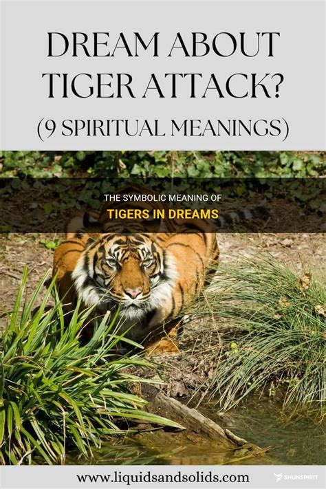 The Symbolic Meaning Of Tigers In Dreams ShunSpirit