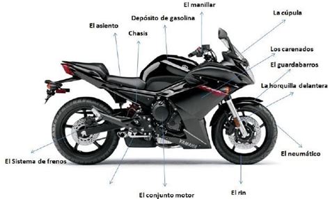 Las Partes De La Motocicleta Pruebaderuta