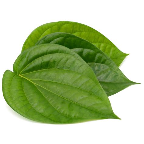 betel leaves paan indo fiji supermarket