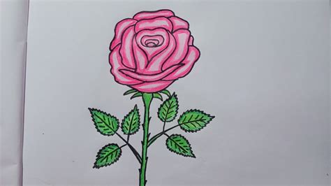 Rose Drawing 🌹 Easy Rose Drawing Step By Step 🌹 How To Draw A Rose 🌹