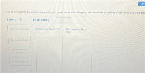 Drag Each Label Into The Appropriate Category To