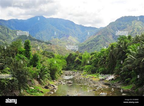 River in Cordillera mountains, Philippines Stock Photo - Alamy