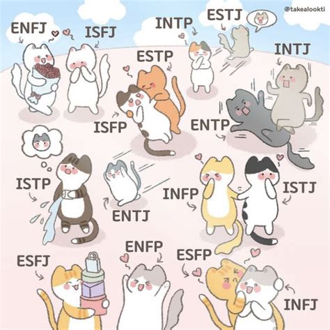 Mbti 고양이 고양이