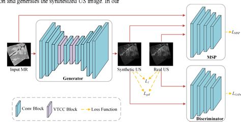 Figure From A Multi Constraint Hybrid Network For Ultrasound Image