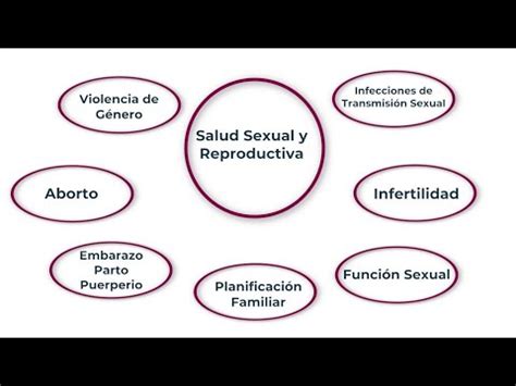 Salud sexual y reproductiva INCMNSZ Educación para la Salud YouTube