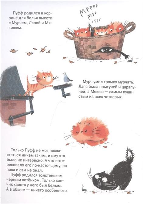 Ведьма Брунгильда и ее кот. Первый полет (Кантини Б.) – Sadko