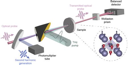 Terahertz Generation Baldini Lab