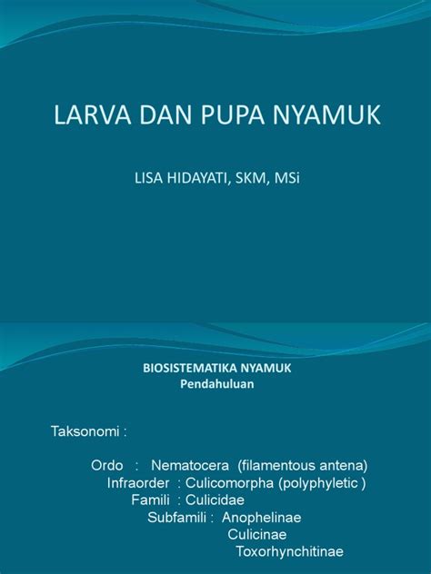 Larva Pupa Nyamuk Vektor Pdf