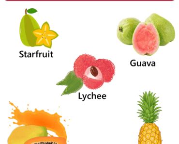 Fruits That Start With Q Properties And Pictures Engdic