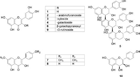 A Review On Traditional Uses Phytochemistry And Pharmacology Of The