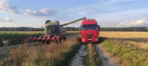 Geringhoff Mais Star Horizon 6 rzędów AGCO Fendt Massey Umowa Kupna