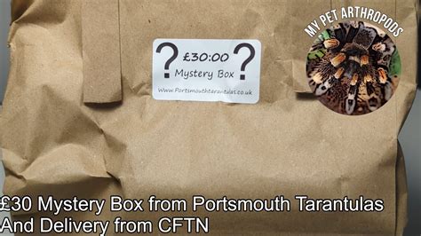 30 Mystery Box From Portsmouth Tarantulas And Delivery From CFTN YouTube