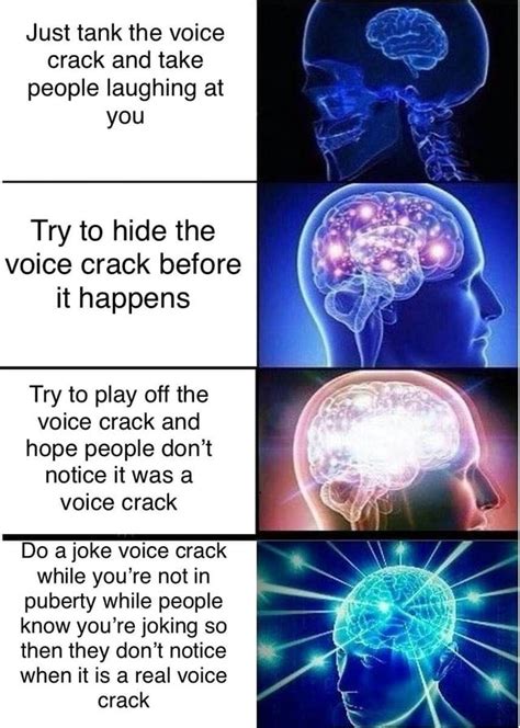 Meme I Made About Voice Cracks Rpuberty