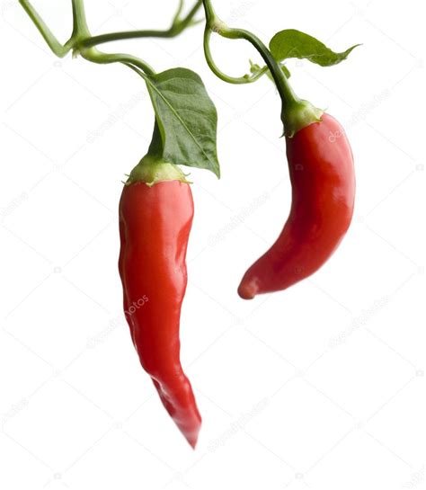 Red Hot Chili Stock Photo Molka