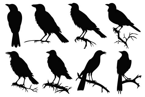 Crow Graphic By Vycstore · Creative Fabrica
