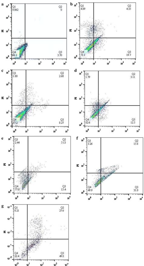 Apoptosis Assay Using Flow Cytometry Following Staining With Annexin