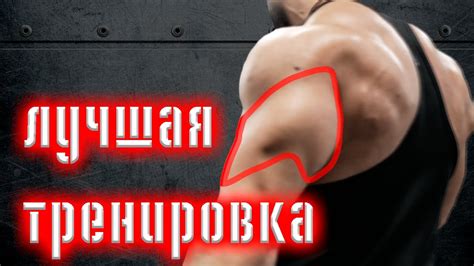 ЛУЧШАЯ тренировка ТРИЦЕПСА 💪 (Топ 2 упражнения) - YouTube