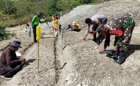 Bhabinkamtibmas Babinsa Sambangi Petani Bawang Merah Pamboborang PAREPOS