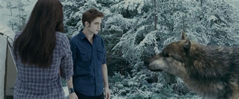 Eclipse Bluray Edward Cullen Image 17365525 Fanpop