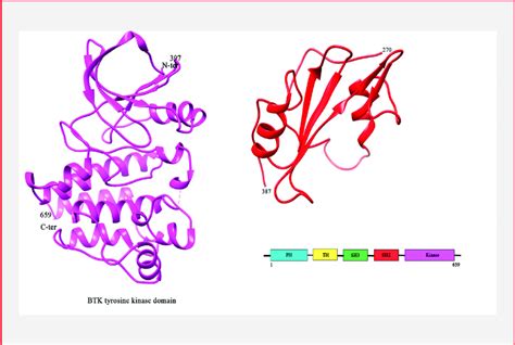 Structure Of Btk The Crystal Structure Of Btk Kinase Domain Colored