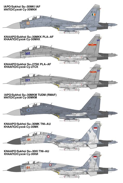 Sukhoi T 50 I 21 Article 701 PAK FA And Su 27 30 33 35 37 Flanker