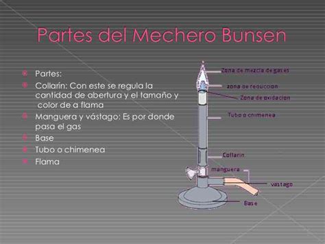 Mechero De Bunsen Dibujo Cheapest Retailers | radio.egerton.ac.ke