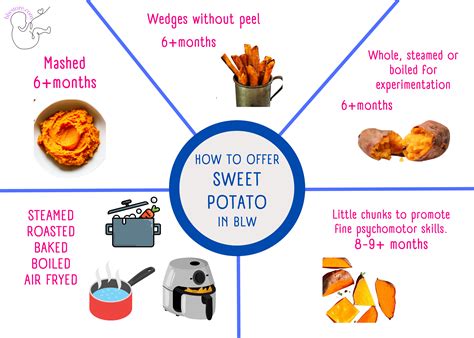 Baby Led Weaning [BLW]: Sweet Potato Baby Food