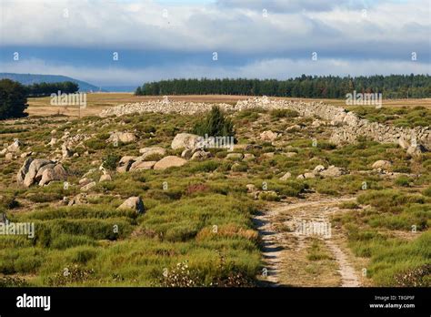 Gorges Du Chassezac Hi Res Stock Photography And Images Alamy