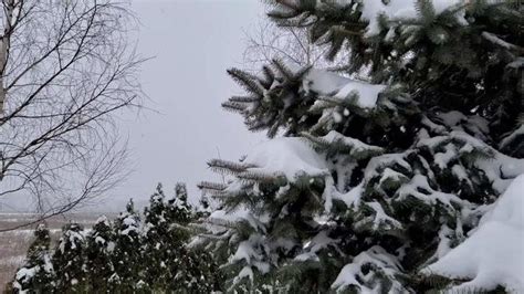 Green Screen Snow Stock Video Footage for Free Download