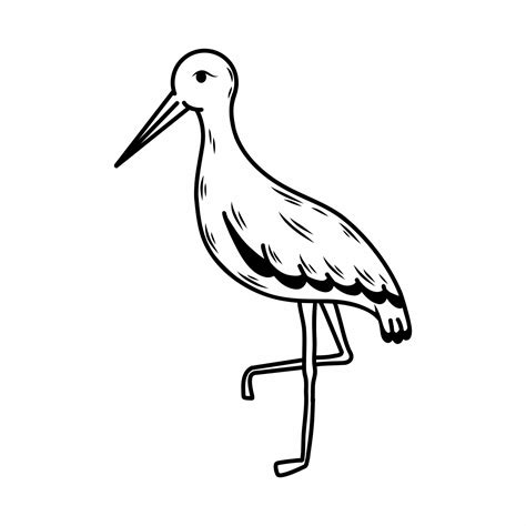 Doodle Style Stork Bird On White Background Vector Art At