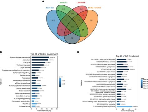 Frontiers Mir 139 5p Was Identified As Biomarker Of Different