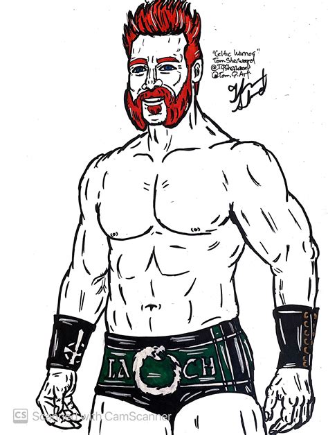 Top 128 Wwe Sheamus Cartoon