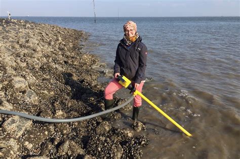 Willkommen In Den Ausstellungen Schutzstation Wattenmeer