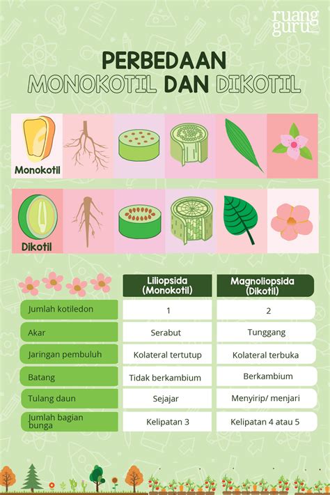 Biologi Kelas 10 Perbedaan Tumbuhan Berbiji Terbuka Dan Tumbuhan