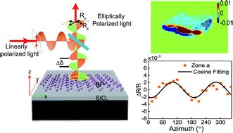 Resolving The Optical Anisotropy Of Low Symmetry D Materials