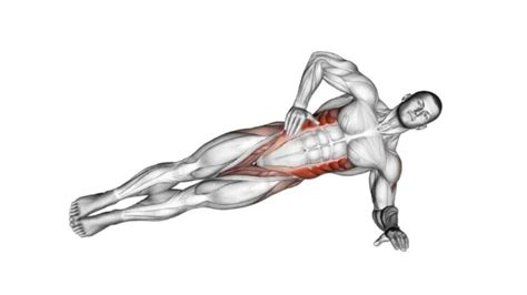 Side Plank Exercises Complete Guide To Build Toned Oblique