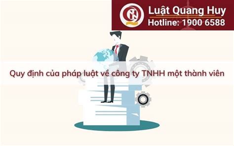 Quy định Về Công Ty Tnhh 1 Thành Viên [cập Nhật 11 2024]