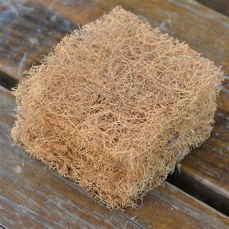 Modern Techniques Natural Coconut Coir Fiber Media 40mm Thickness