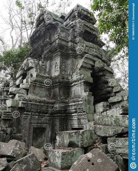 Ruinas En El Templo Ta Prohm Provincia De Siem Reap Sitio Del