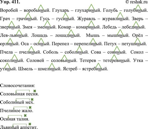 (Решено)Упр.411 ГДЗ Ладыженская Баранов 6 класс по русскому языку