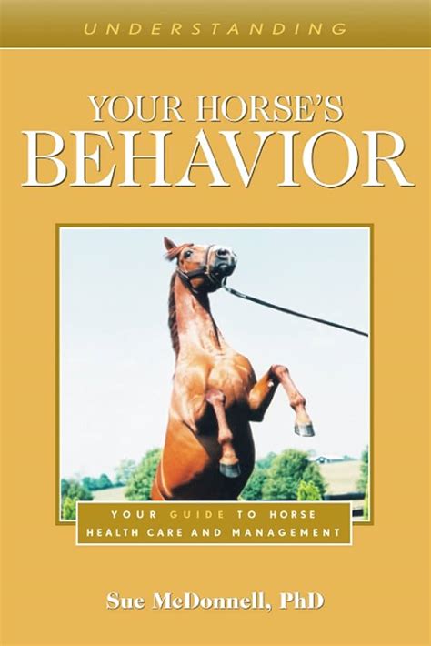 Understanding Horse Behavior For A Better Riding Experience