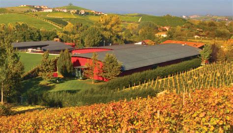 Contatti Vite Colte Cantine In Barolo