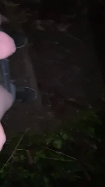 Kostenlose Gay Toilet Porno Videos Von XHamster