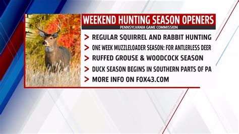 Squirrel Season Pa 2024 - Maura Nannie