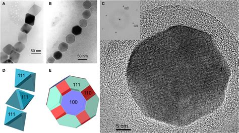 Magnetite Magnetosomes With Octahedral And Cuboctahedral Morphologies